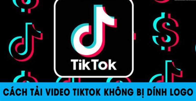 Hướng dẫn download video TikTok cho máy tính dễ dàng