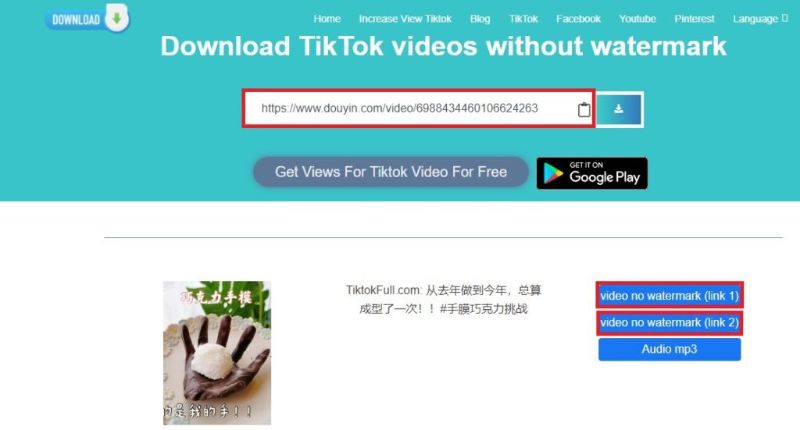 download video TikTok