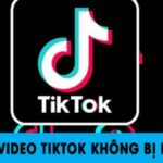 Tải video TikTok tại Downtik.com