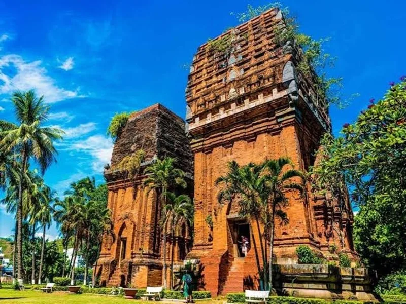 quy nhon co gi