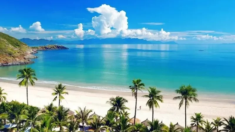Chơi Gì Ở Đà Nẵng: Cẩm Nang Khám Phá Địa Điểm Vui Chơi Hot Nhất